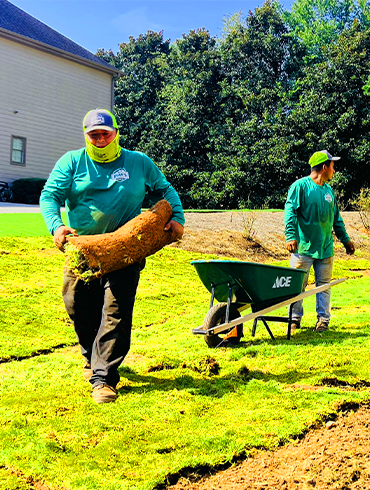 Landscaping