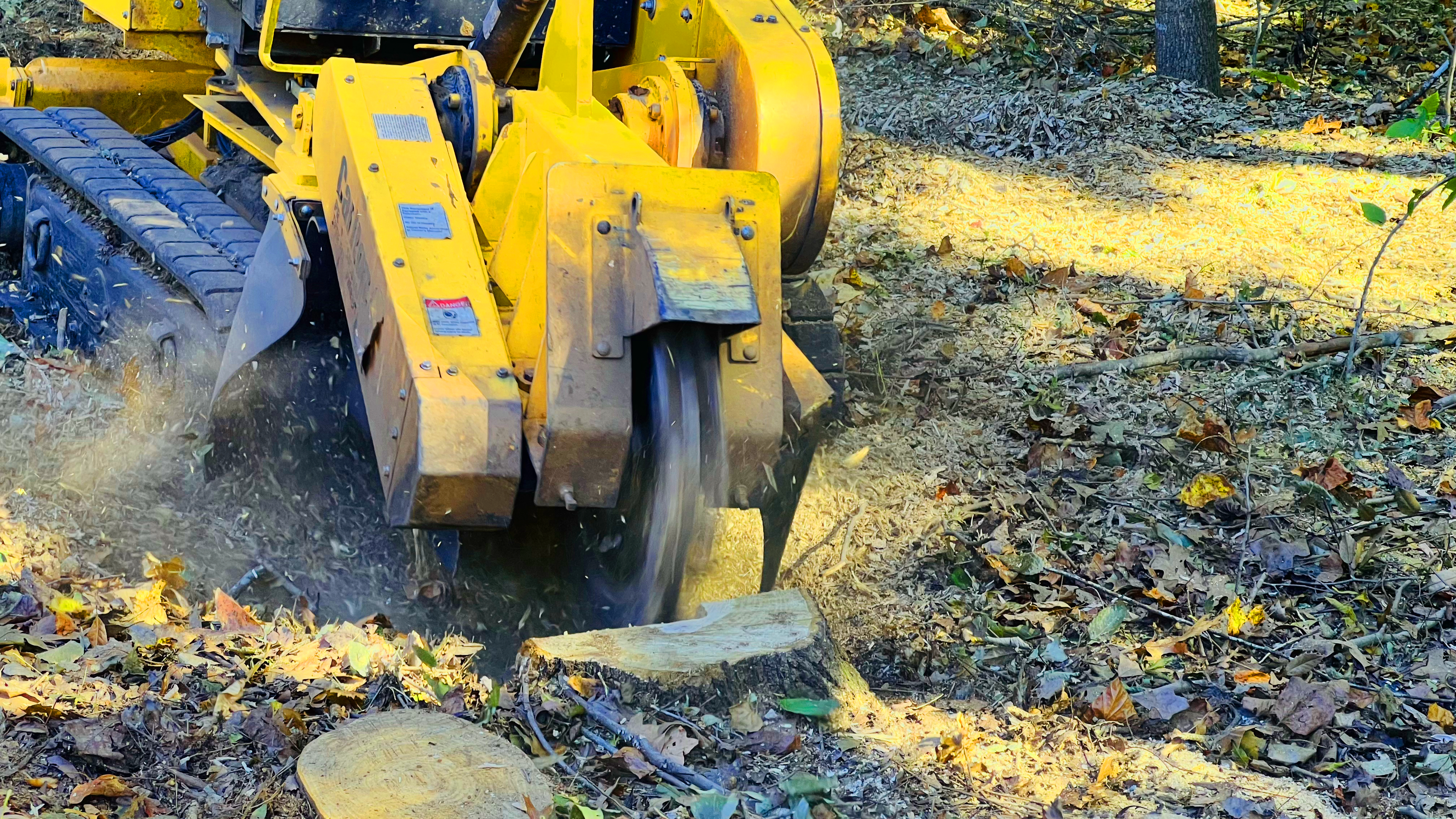 Stump Grinding