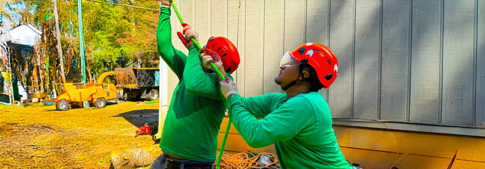 Tree Service